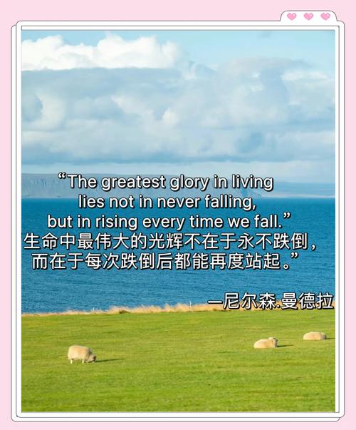 曼德拉语录 第1张 曼德拉语录 第1张