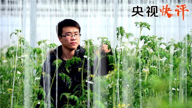 极目快评|浪潮集团花式“加班标语”让人惊呆,加班真好?违法就不太好了吧 第1张 极目快评|浪潮集团花式“加班标语”让人惊呆,加班真好?违法就不太好了吧 第1张