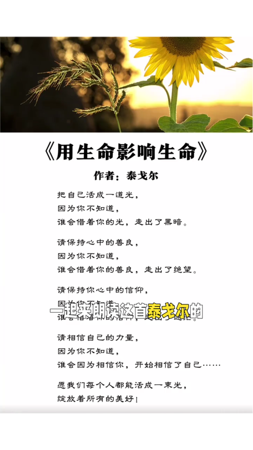 《梦想》泰戈尔，泰戈尔的梦想  第1张