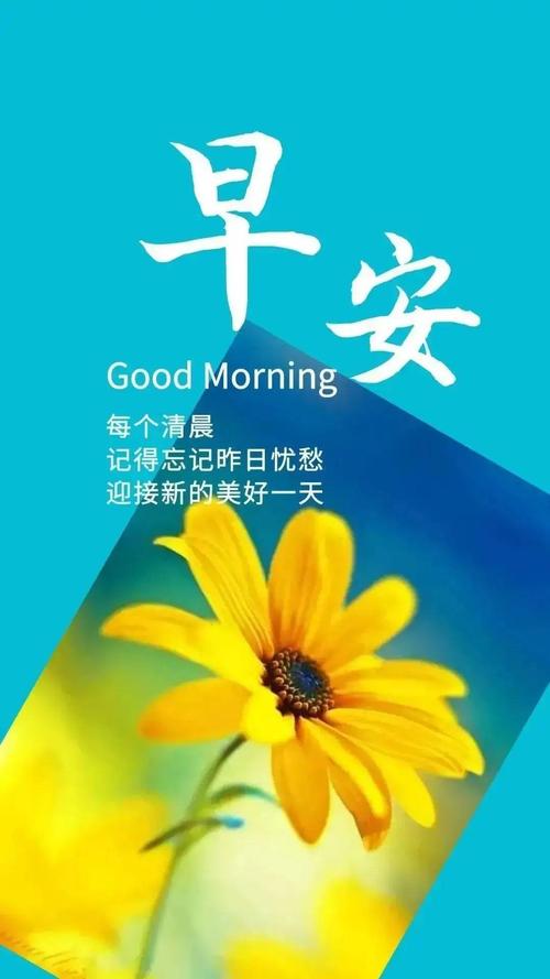 简单干净的早安心情说说,很经典很走心,让人忍不住分享 第1张 简单干净的早安心情说说,很经典很走心,让人忍不住分享 第1张