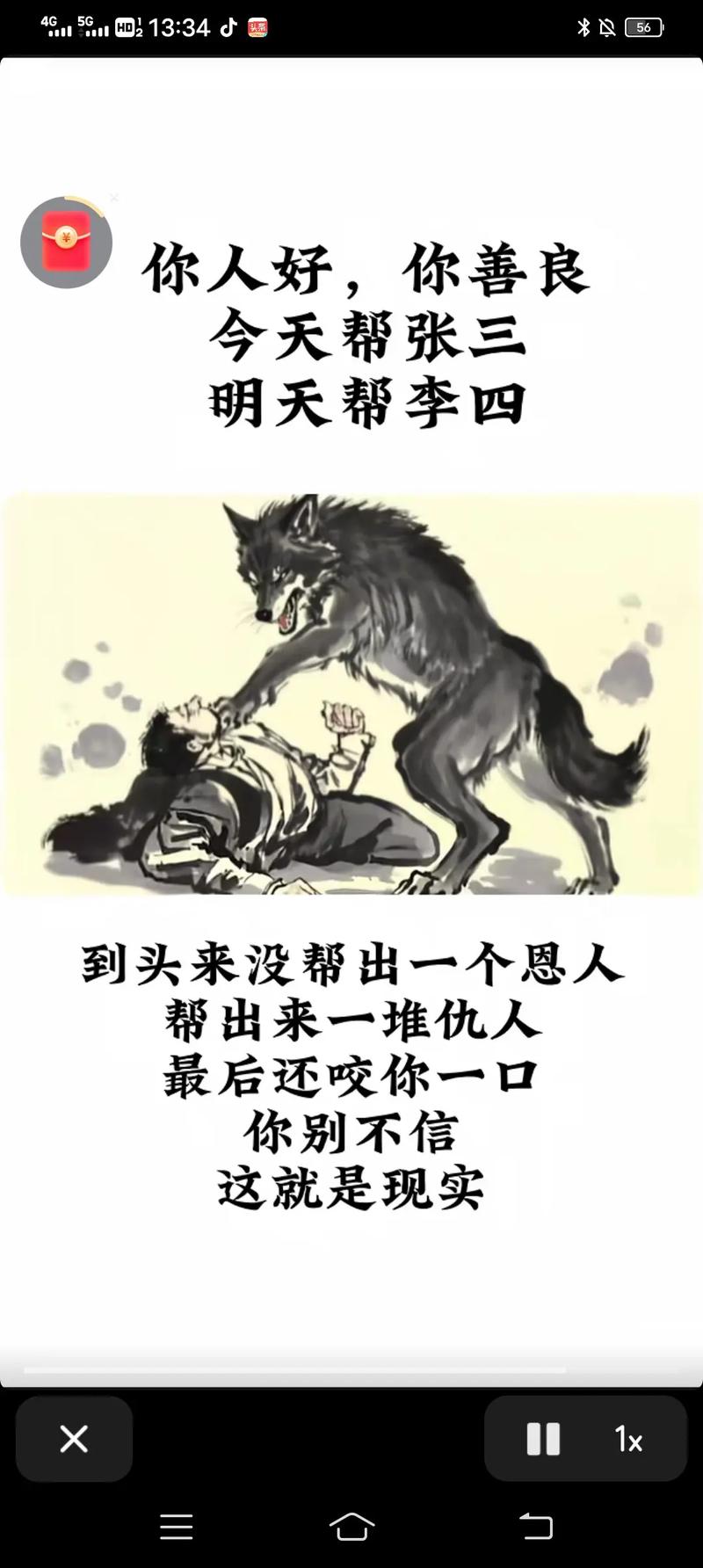 狼的50句格言,你会受用一生并影响你一辈子 第1张 狼的50句格言,你会受用一生并影响你一辈子 第1张