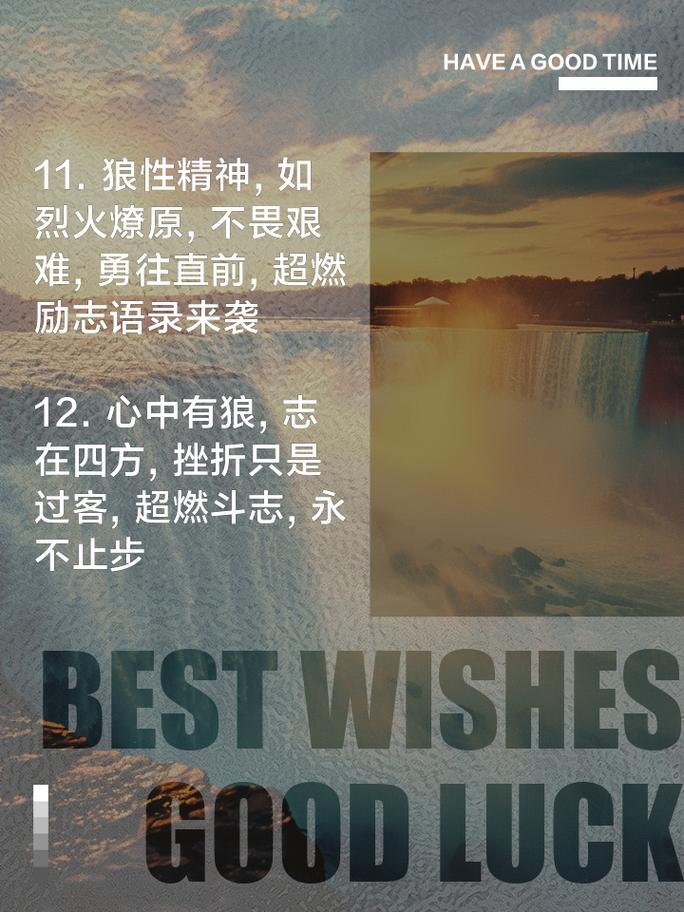 狼的五十句格言!(太经典了) 第1张 狼的五十句格言!(太经典了) 第1张