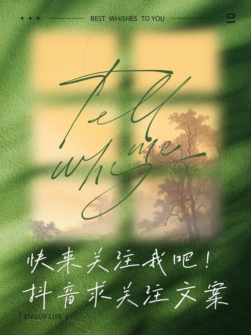 一句话让别人关注你,如何用一句话吸引他人关注你,展现独特魅力与价值。 第1张 一句话让别人关注你,如何用一句话吸引他人关注你,展现独特魅力与价值。 第1张