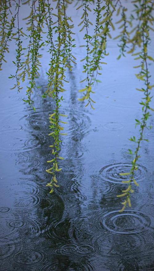 春风化雨,春风化雨,润物无声 第1张 春风化雨,春风化雨,润物无声 第1张