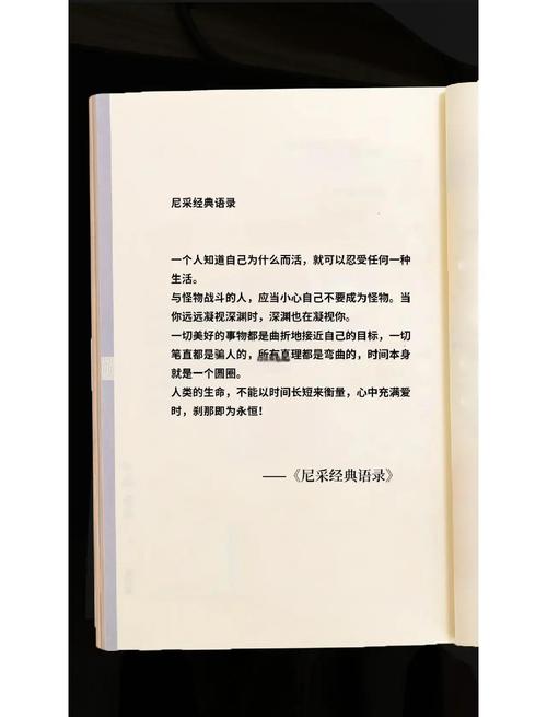 尼采经典语录，尼采经典语录，生命中的力量与超越的智慧  第1张