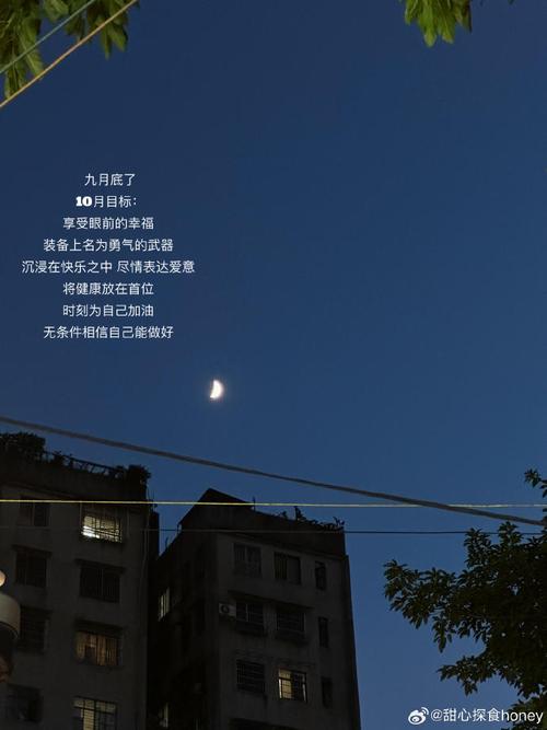 十月繁华人寥落 第1张 十月繁华人寥落 第1张