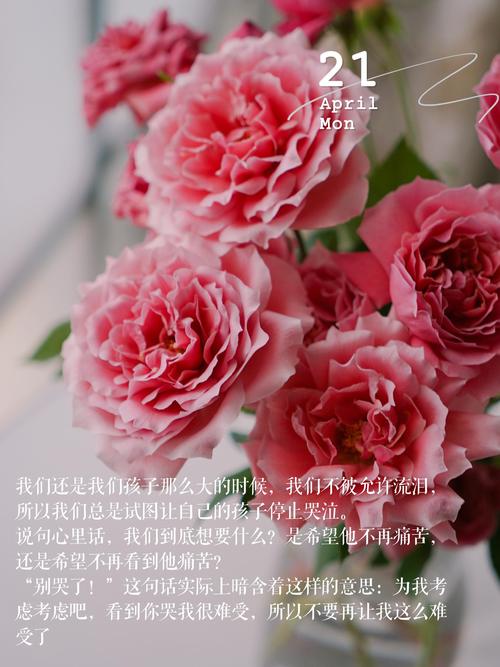 爱,是一朵花开的时间 第1张 爱,是一朵花开的时间 第1张
