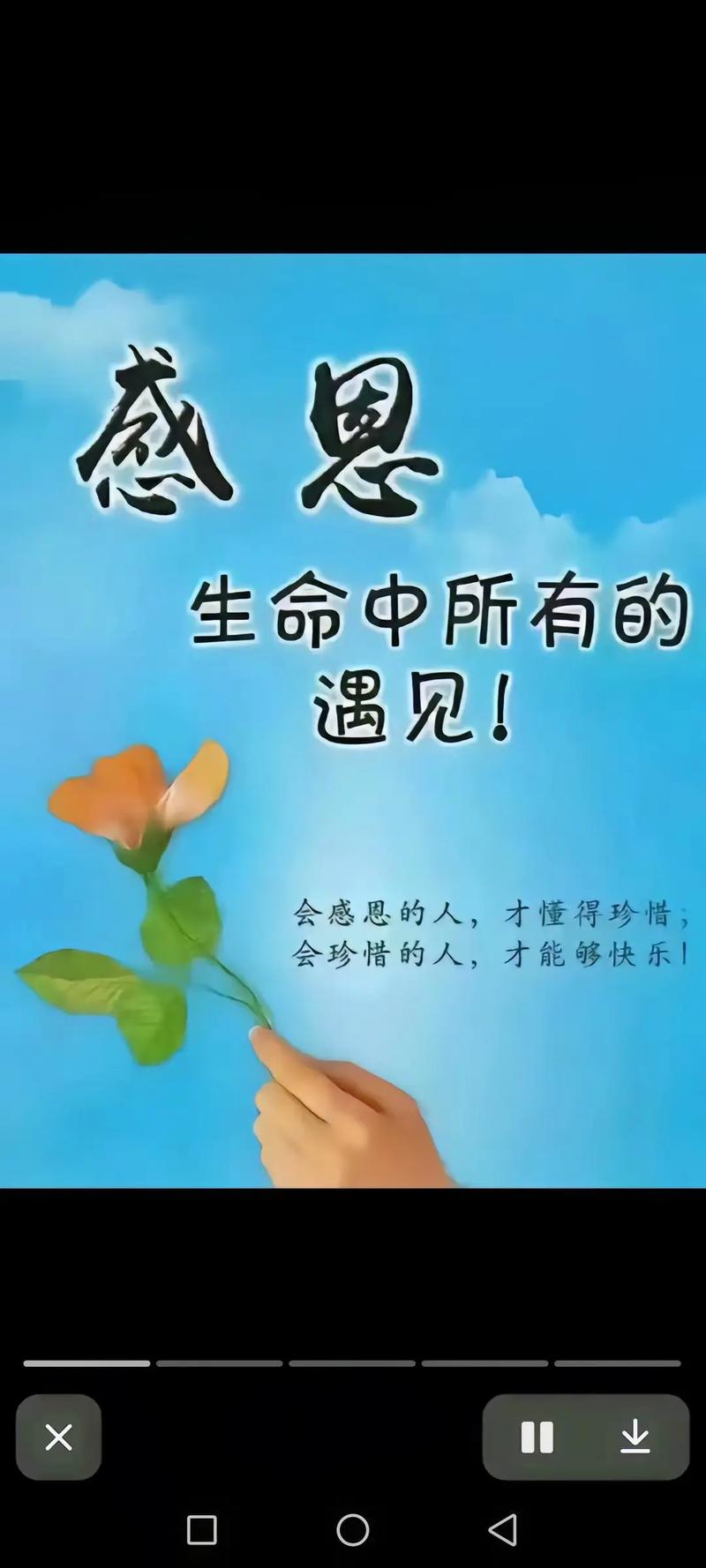 最打动人心的感恩句子，最触动心灵的感恩之语  第1张