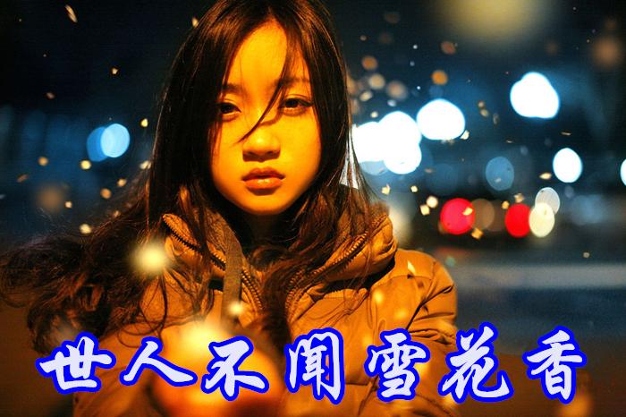 世人不闻雪花香 第1张 世人不闻雪花香 第1张