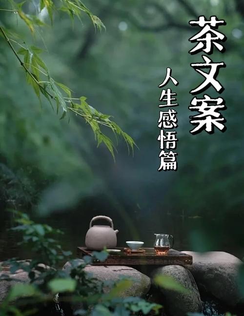 让一份静美点缀浮华的人生  第1张