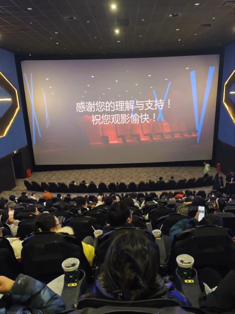 观影  第1张