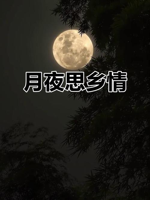 月夜思绪翻飞 第1张 月夜思绪翻飞 第1张