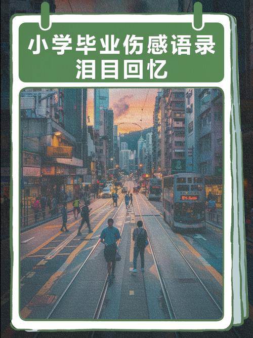 毕业那年,开始苍老 第1张 毕业那年,开始苍老 第1张