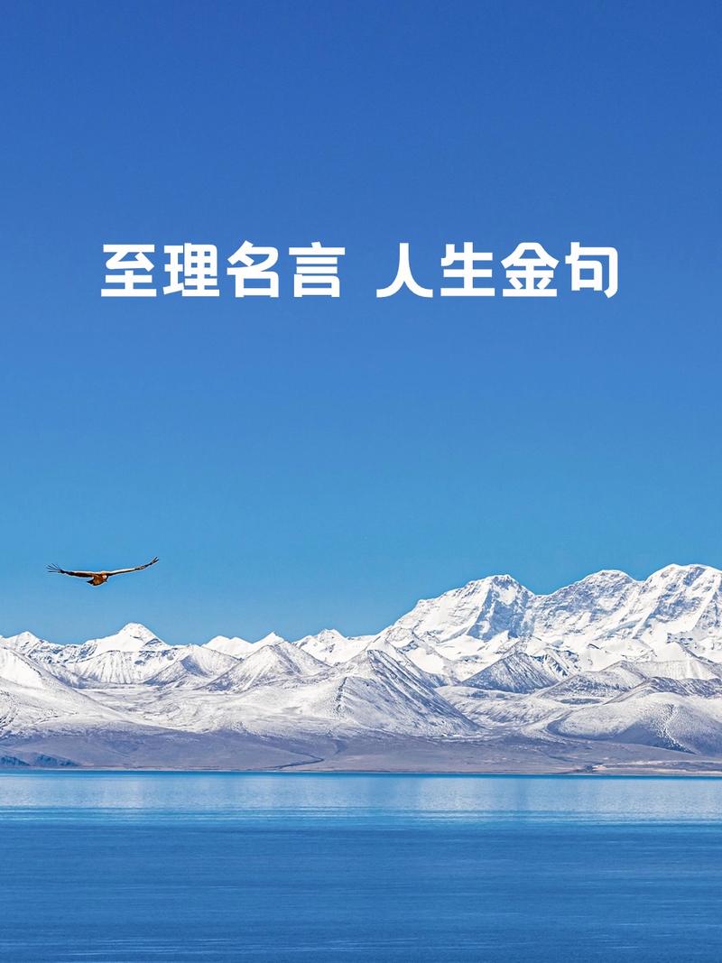 人生哲理金句，人生哲理金句，智慧与感悟的交汇点  第1张