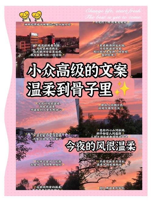 文案分享｜温柔浪漫不落俗套的摘抄  第1张