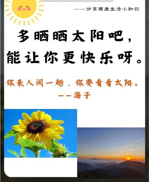 幸福就是晒太阳 第1张 幸福就是晒太阳 第1张