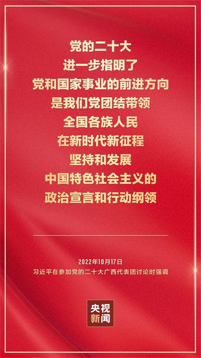 二十大金句积累  第1张
