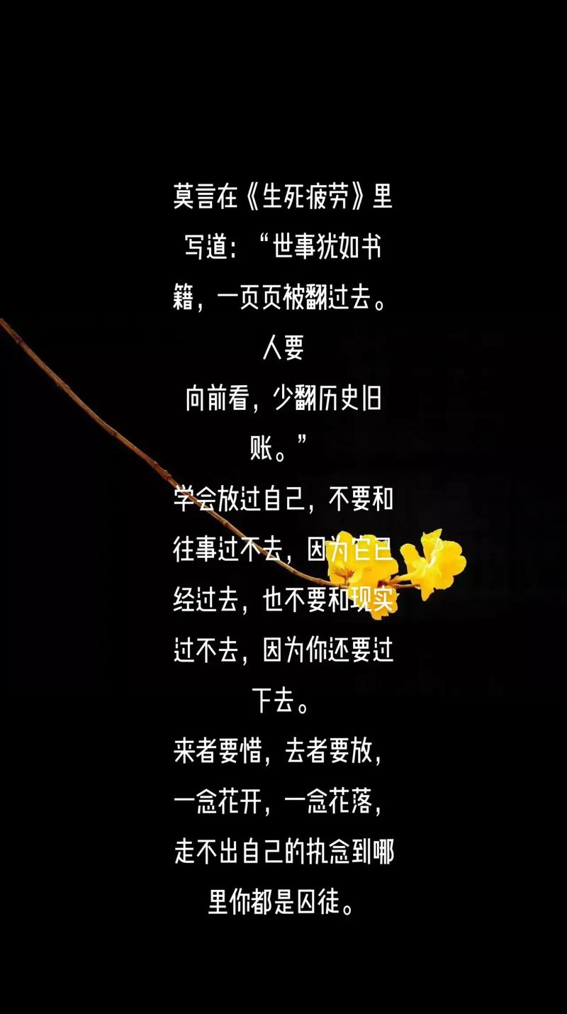 往事后不后悔，慢慢去体会  第1张