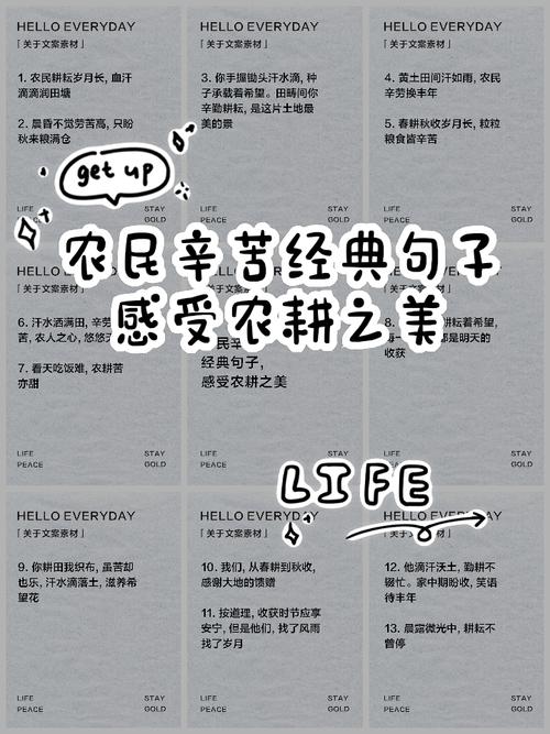 关于劳动的优美句子,劳动的魅力与美好瞬间,辛勤耕耘的优美句子 第1张 关于劳动的优美句子,劳动的魅力与美好瞬间,辛勤耕耘的优美句子 第1张