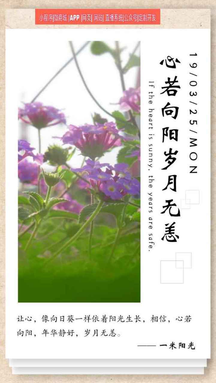 岁月无恙  第1张
