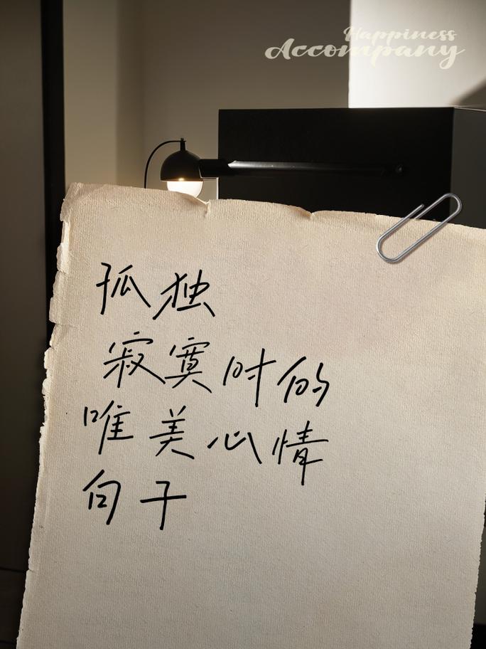 寂寞后的感悟  第1张