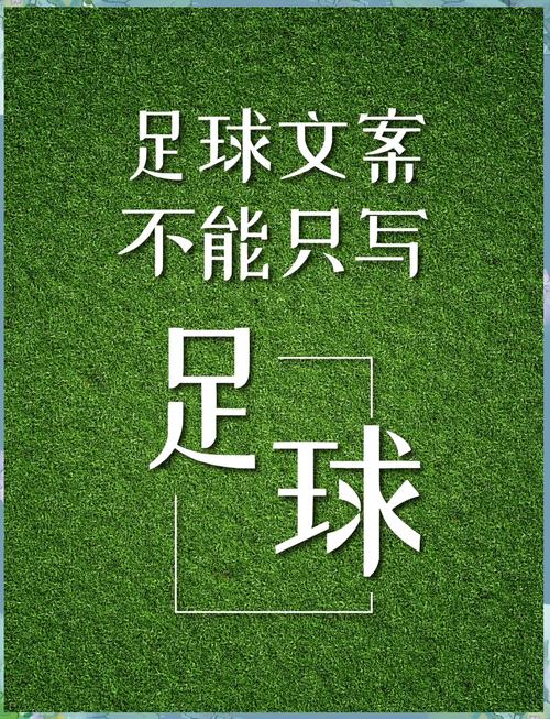体育生的文案 第1张 体育生的文案 第1张