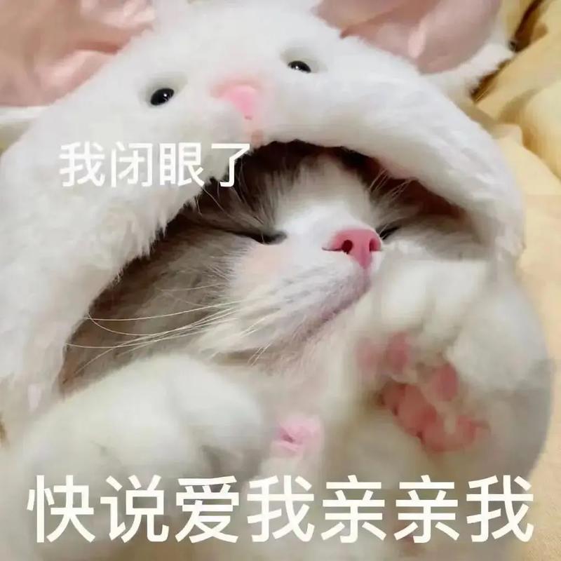 #艾特你想艾特的人  第1张