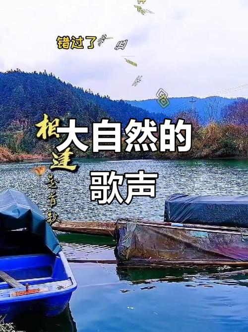 聆听生命 第1张 聆听生命 第1张