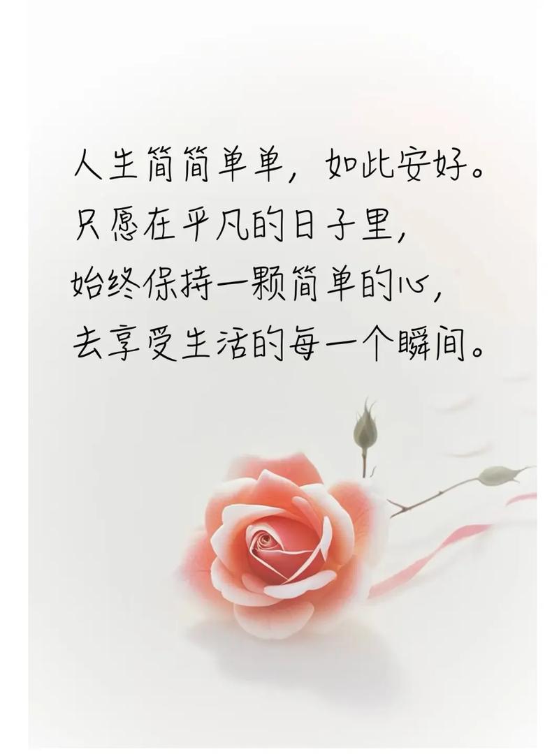 简单,其实是一种心态 第1张 简单,其实是一种心态 第1张