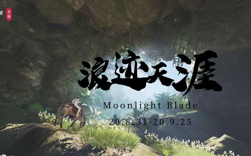 浪迹天涯 第1张 浪迹天涯 第1张