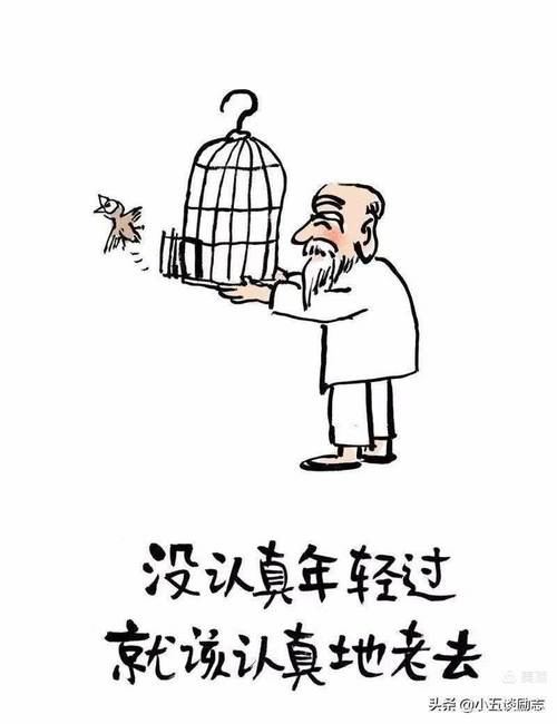 老了,真好 第1张 老了,真好 第1张