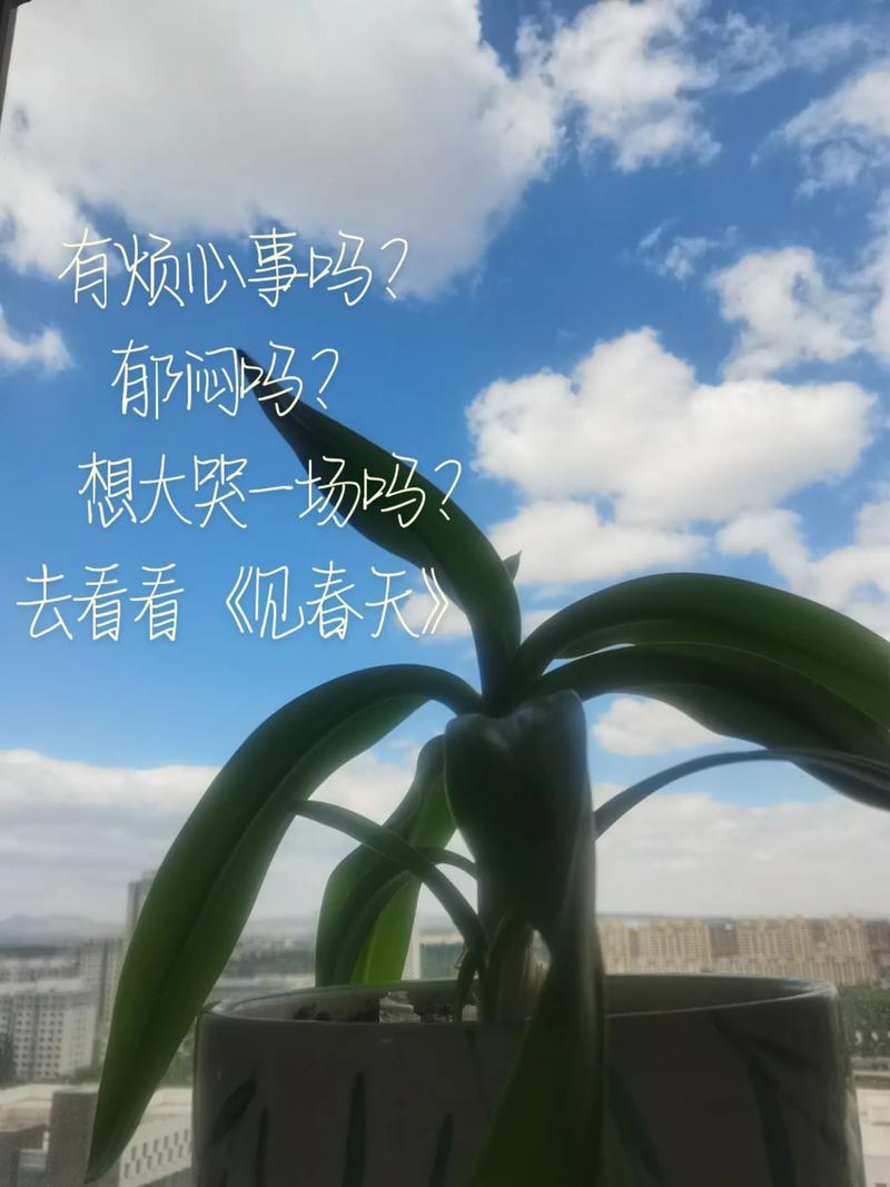 这春天,是否你闻得见 第1张 这春天,是否你闻得见 第1张