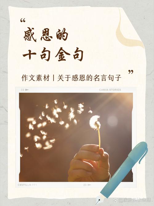 感恩名言名句大全,感恩的名言名句精选集 第1张 感恩名言名句大全,感恩的名言名句精选集 第1张