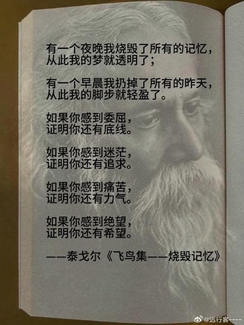 泰戈尔名言,泰戈尔名言精选,生命,因你而美丽。 第1张 泰戈尔名言,泰戈尔名言精选,生命,因你而美丽。 第1张