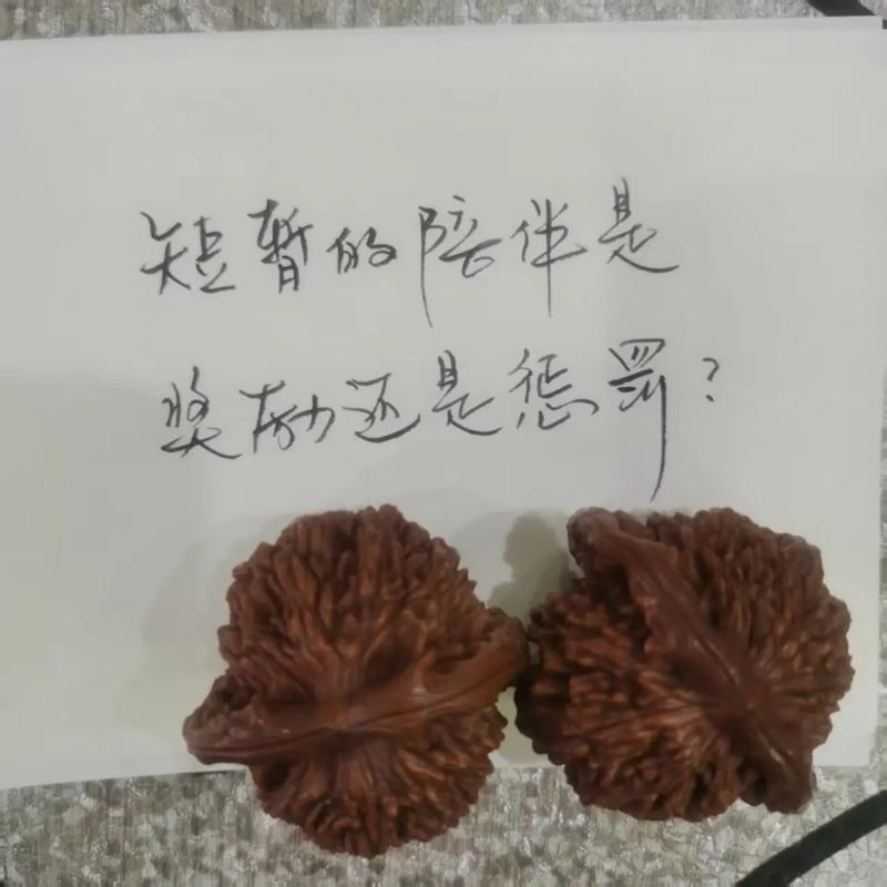 短暂与永远 第1张 短暂与永远 第1张