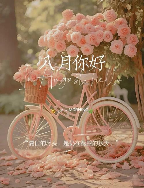 迎接八月,七月再见的精美朋友圈语录句子 第1张 迎接八月,七月再见的精美朋友圈语录句子 第1张