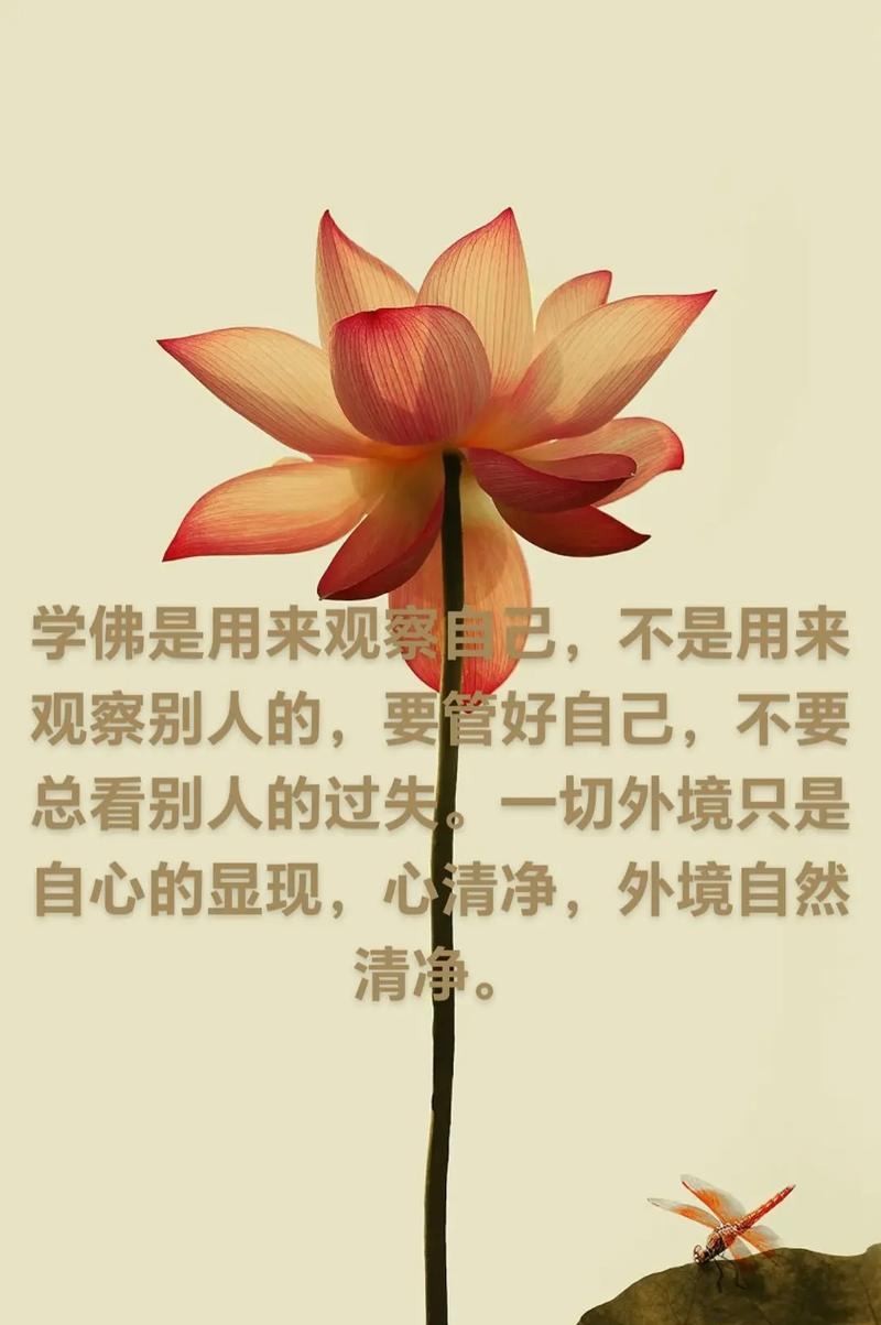 不想解脱不要学佛 第1张 不想解脱不要学佛 第1张