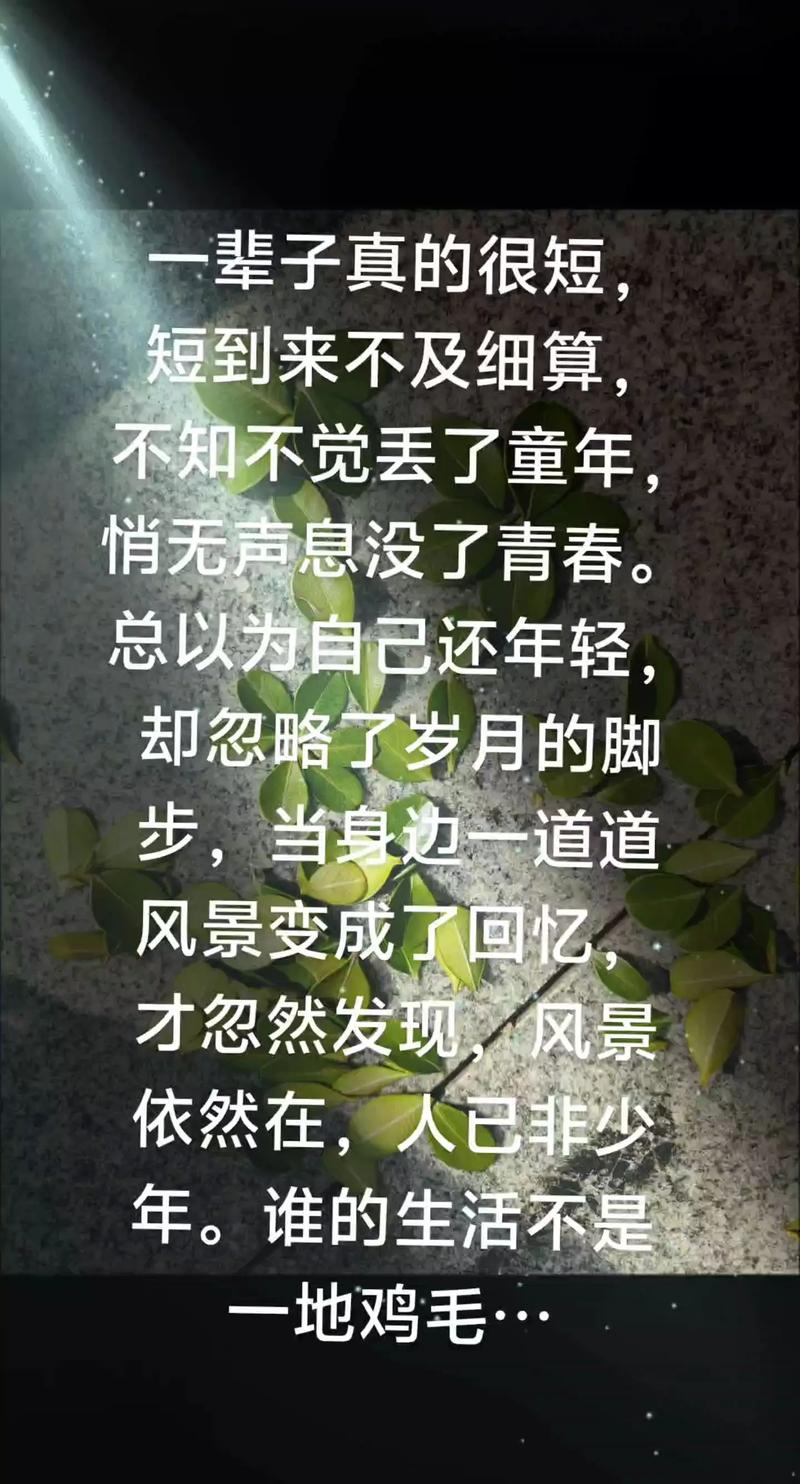流失的不只是岁月 第1张 流失的不只是岁月 第1张