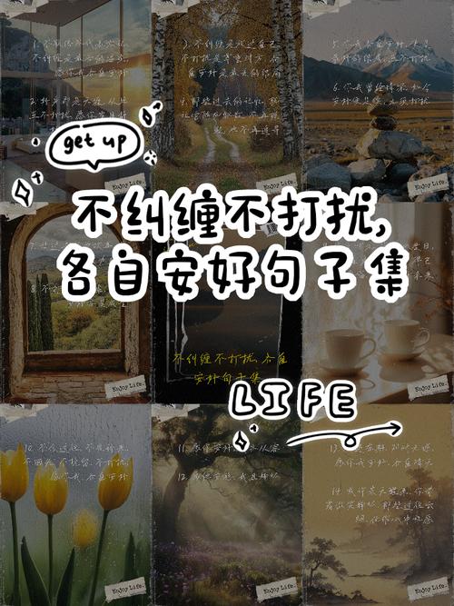 不来往，不回忆，各自安好，各自天涯  第1张