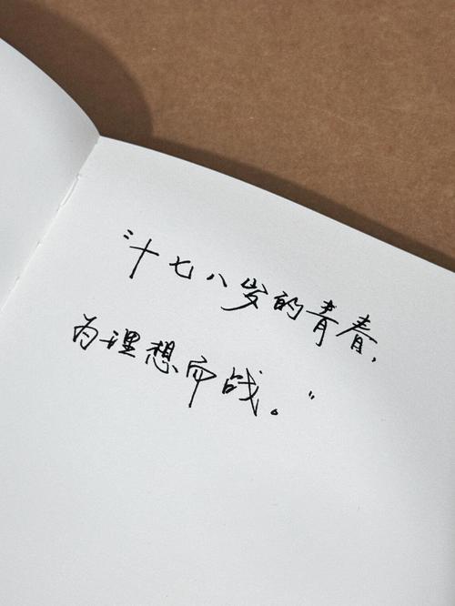 高三励志语录简短,高三励志箴言,勇往直前,梦想起航 第1张 高三励志语录简短,高三励志箴言,勇往直前,梦想起航 第1张