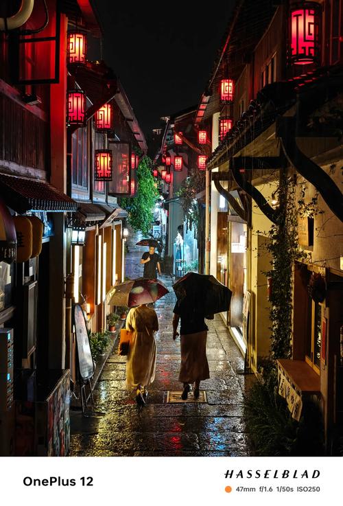 巷子里的细雨流光 第1张 巷子里的细雨流光 第1张