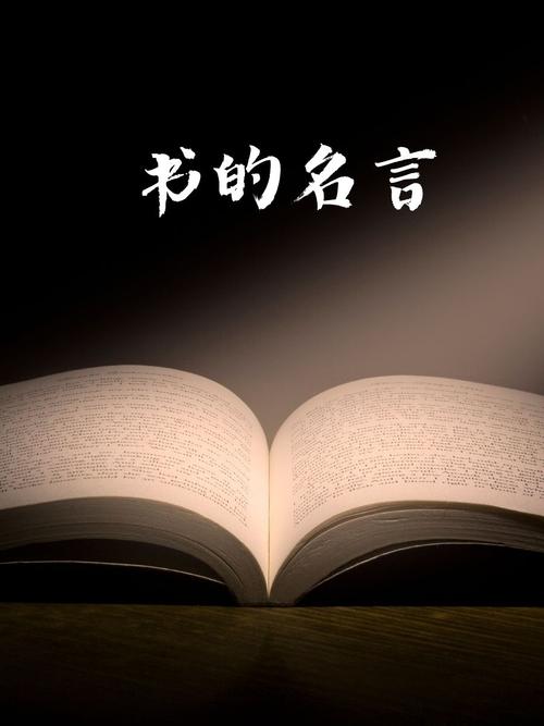 与书有关的名言名句，书香世界，名言中的智慧与启示  第1张