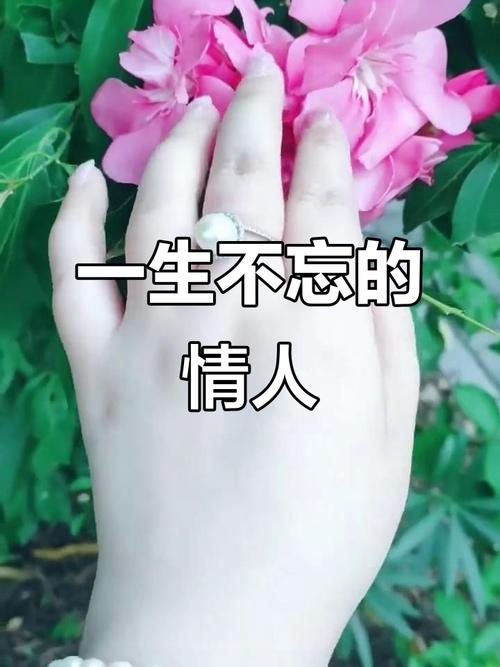 入心的情人,一生难忘 第1张 入心的情人,一生难忘 第1张