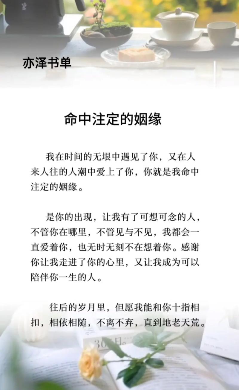 命中注定的缘份  第1张
