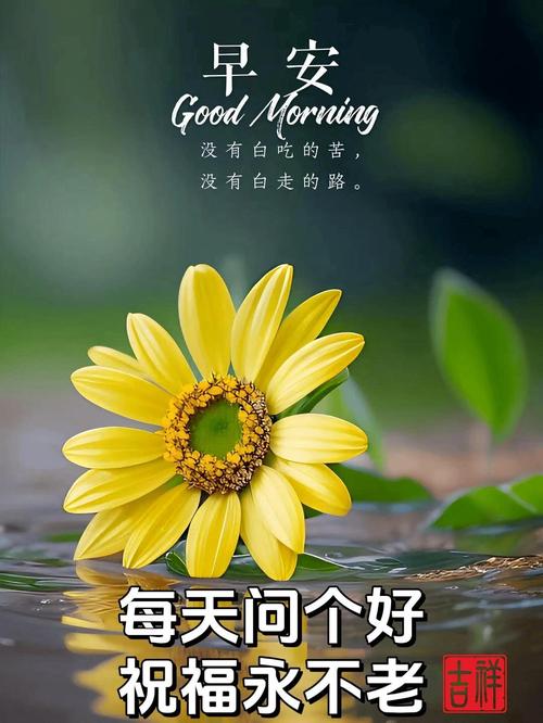 早安心语~问候是温暖的阳光,字字句句生花溢香 第1张 早安心语~问候是温暖的阳光,字字句句生花溢香 第1张