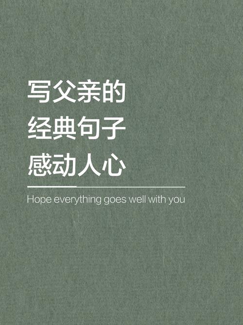 一句话泪崩的父亲文案,父爱的深沉,一句话泪崩的文案 第1张 一句话泪崩的父亲文案,父爱的深沉,一句话泪崩的文案 第1张