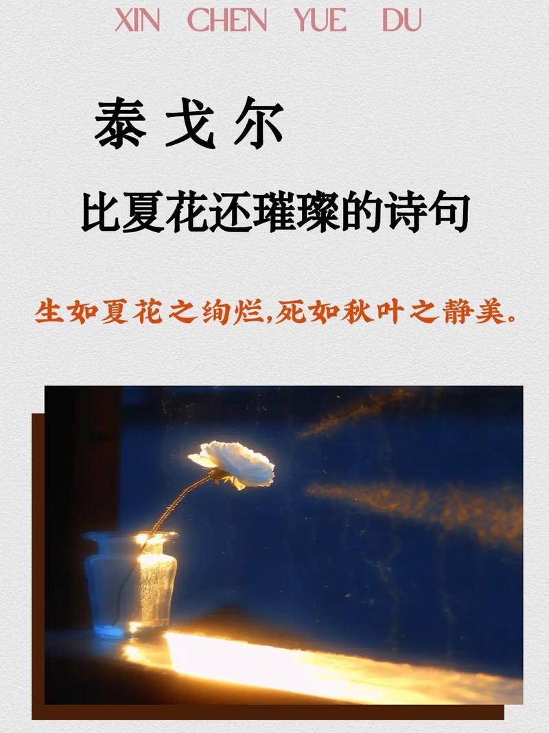 生如夏花,灿若烟华 第1张 生如夏花,灿若烟华 第1张