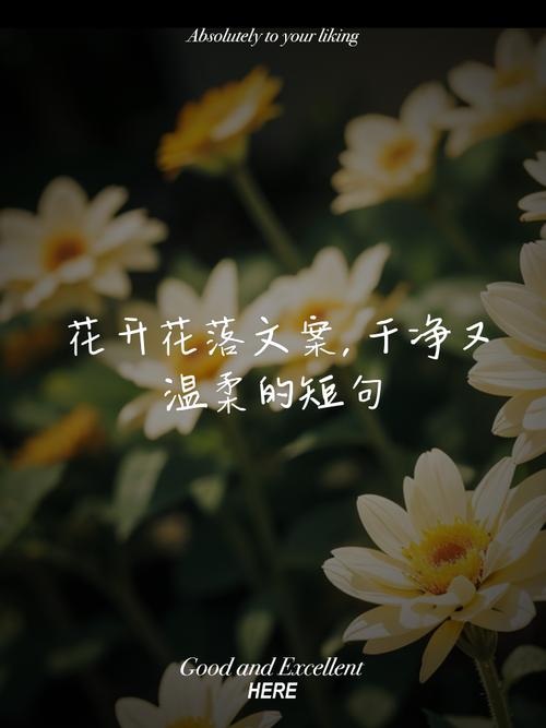 花开有时寂寞 第1张 花开有时寂寞 第1张