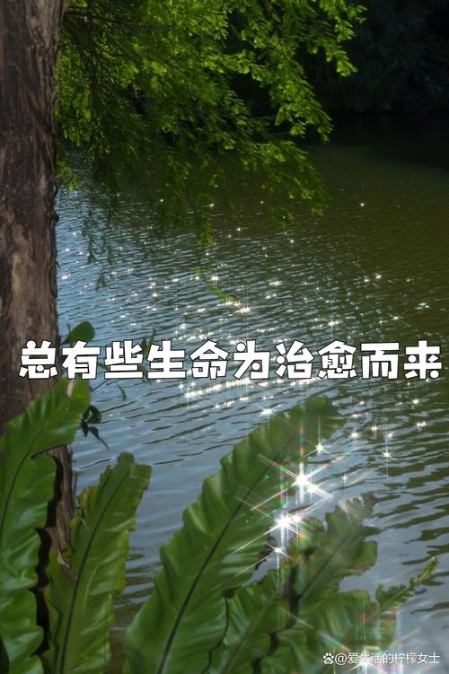 感悟生命 第1张 感悟生命 第1张