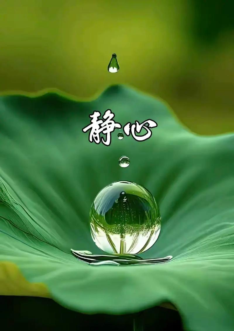 怀揣一颗美好的心灵 第1张 怀揣一颗美好的心灵 第1张